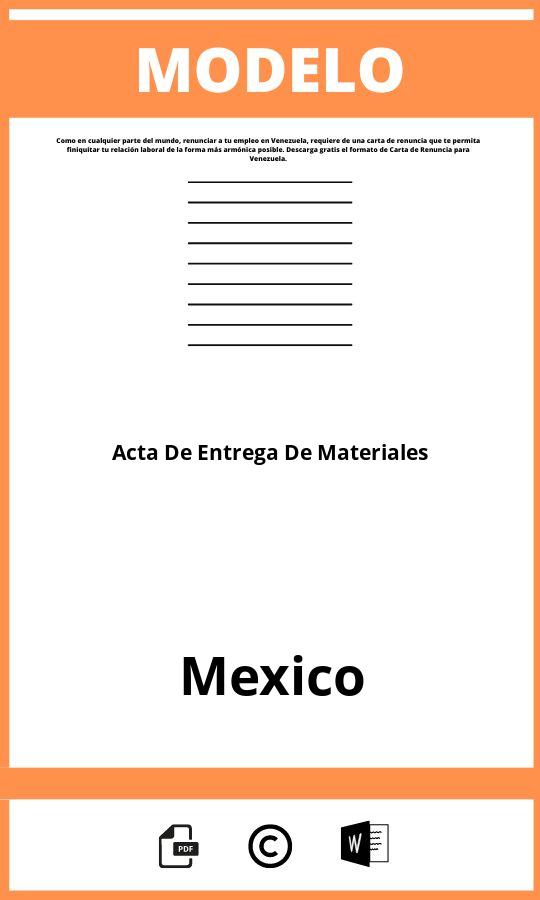 Modelo De Acta De Entrega De Materiales