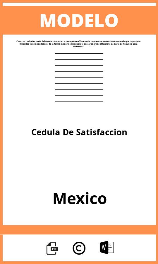 Modelo De Cédula De Satisfacción