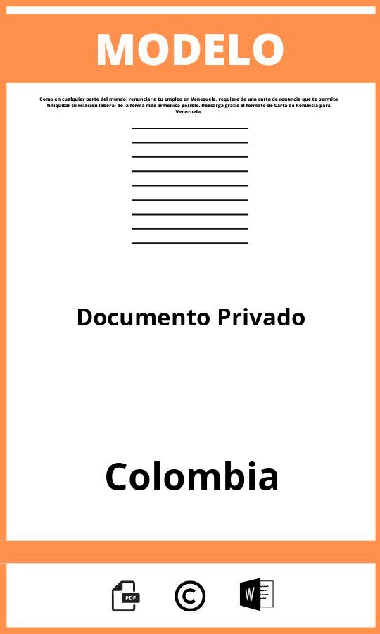 Modelo De Documento Privado En Colombia