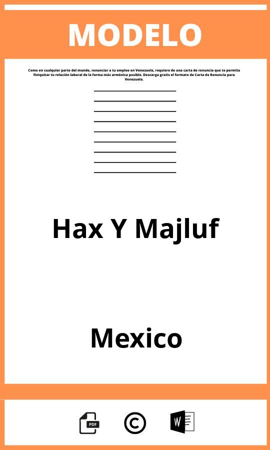 Modelo De Hax Y Majluf