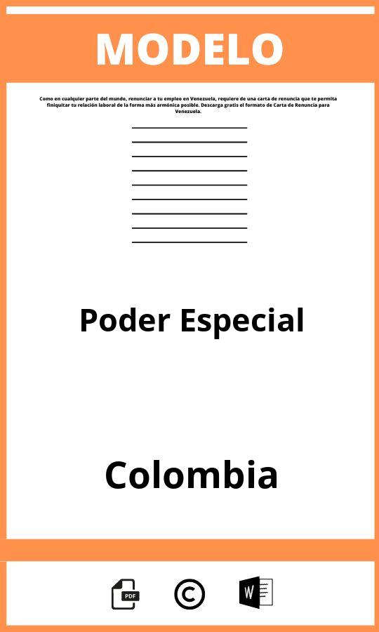 Modelo De Poder Especial En Colombia