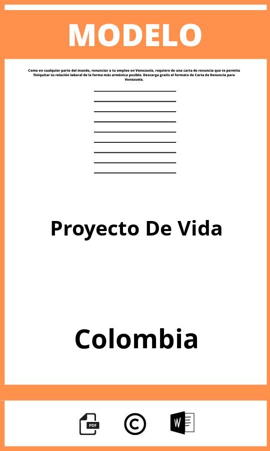 Modelo De Proyecto De Vida