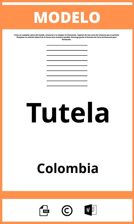 Modelo De Tutela En Colombia